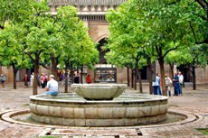 Seville (Cadiz) Cathedral of Seville cruise excursion